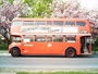 AEC Routemaster (1967 model ) with AEC AV590 9.6 L or Leyland O.600 9.8 L 6-cylinder diesel engine & AEC 4-speed automatic/semi-automatic gearbox. Introduced by London Transport in 1956, the Routemaster saw continuous service in London until 2005 (c) 2013 Vision Motor Services Ltd