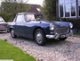 Austin Healey collection